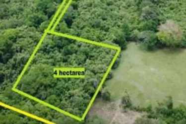 Dense green property with potential for tourism or housing near Buenaventura Panama