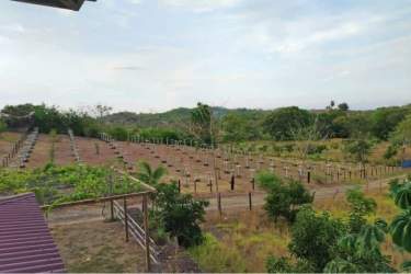 Fenced farmland and cultivation plots on 3.6 hectare farm in Atalaya Veraguas Panama