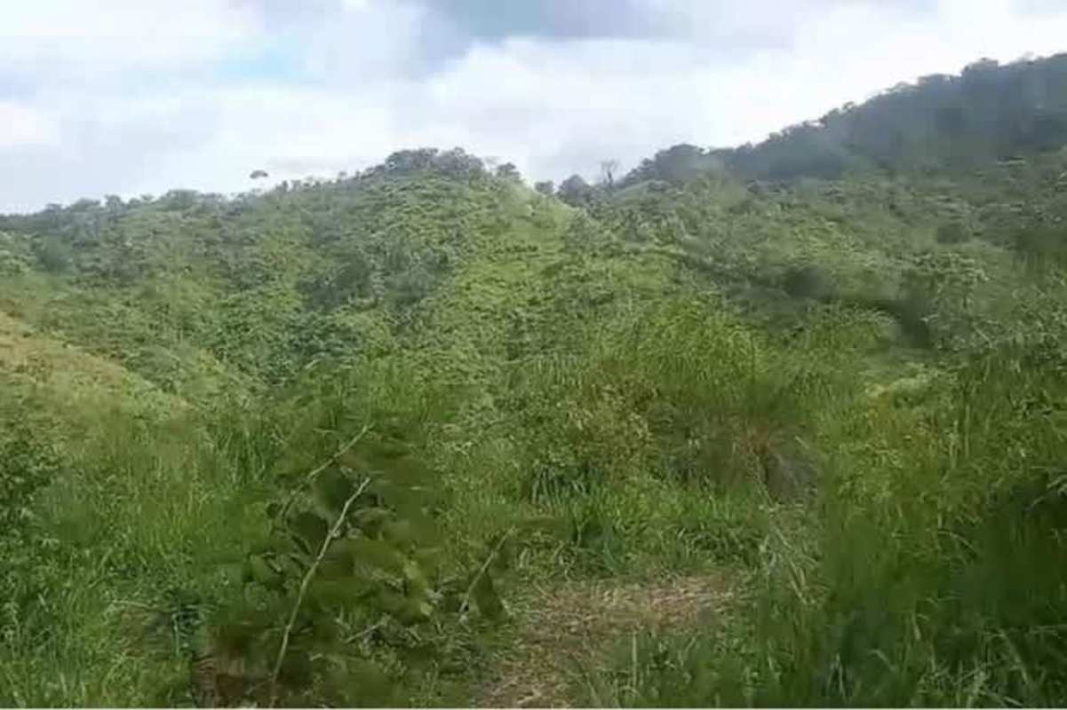 Expansive rural agricultural land in Ocu Herrera, beautiful fertile rolling hills in Panama
