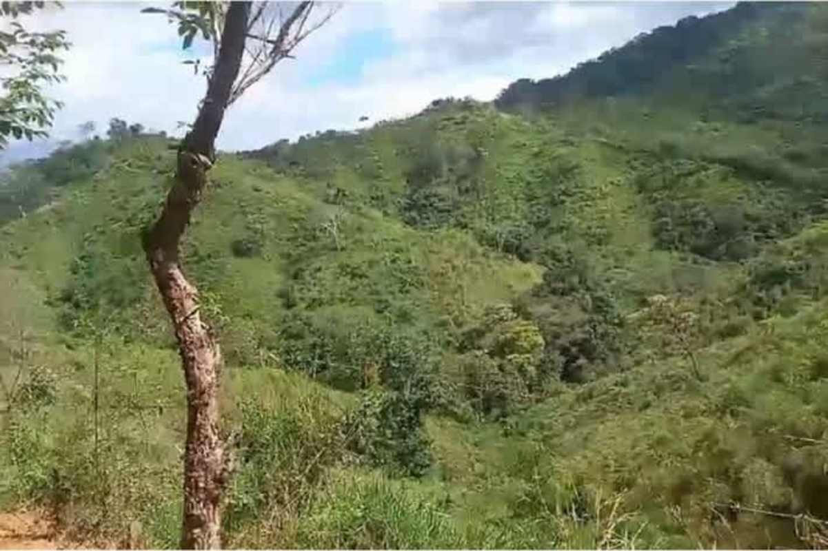 20 Hectare Agricultural Land for Sale in Ocu Herrera Panama