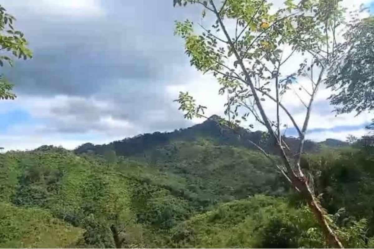 Mountainous lush tropical landscape with dense vegetation in Ocu, Herrera Province Panama