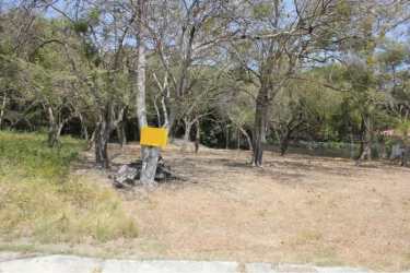 Vacant land area frontage with sign and trees Coclé Panama