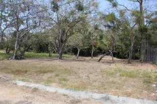 Land for Sale in La Pintada - 0 bedrooms