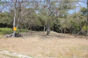 Vacant land with mature trees countryside views Valle de Toscana Coclé Panama