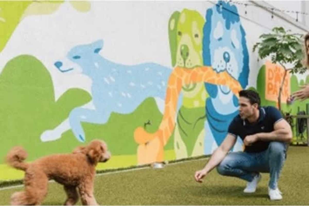 Creative dog park with colorful mural at PH Altamira Gardens Condado del Rey Panama pet friendly area