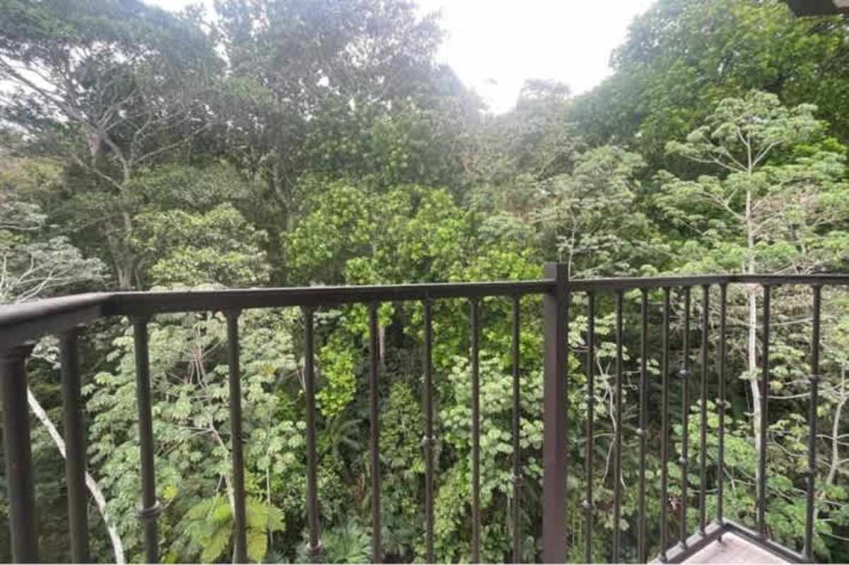 Private balcony with metal railing overlooking lush greenery in Panama apartment