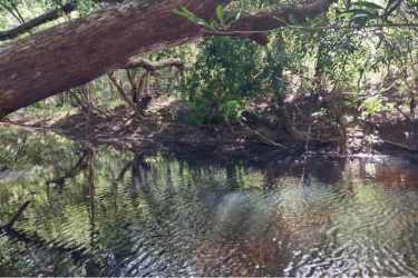 Beautiful natural waterfall bordering river Coronado Panama