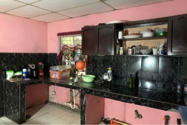 Lush tropical garden with flowering plants at house in La Chorrera Panama