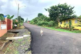 House with rental apartments for Sale in Puerto Caimito - 4 bedrooms