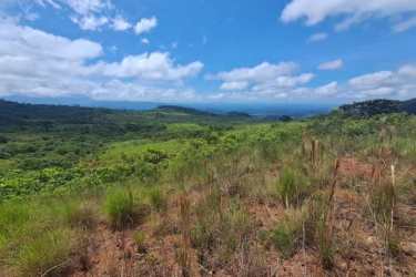 Mountain views with fertile pastureland of agricultural estate Boquete Panama