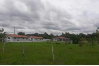 Land / Lot for Sale in El Rincón - 0 bedrooms