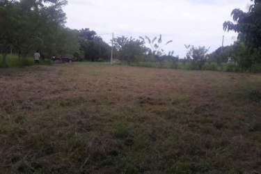 Flat open land parcel with mature trees and country view in gated Valle de Toscana Antón