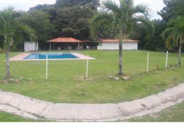 Community pool with palm trees and lawn in Valle de Toscana El Rincón Antón Panama