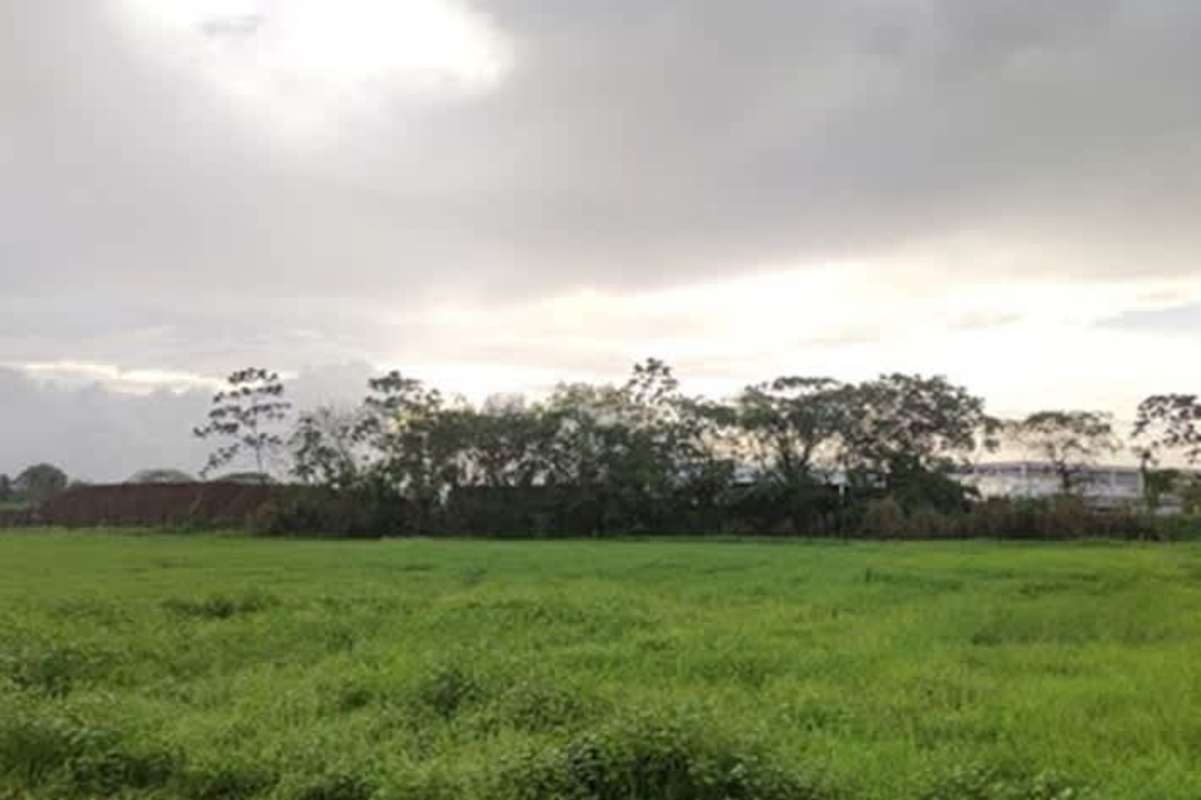 Open green vacant lot bordered by trees in Santa María Business District Panama City