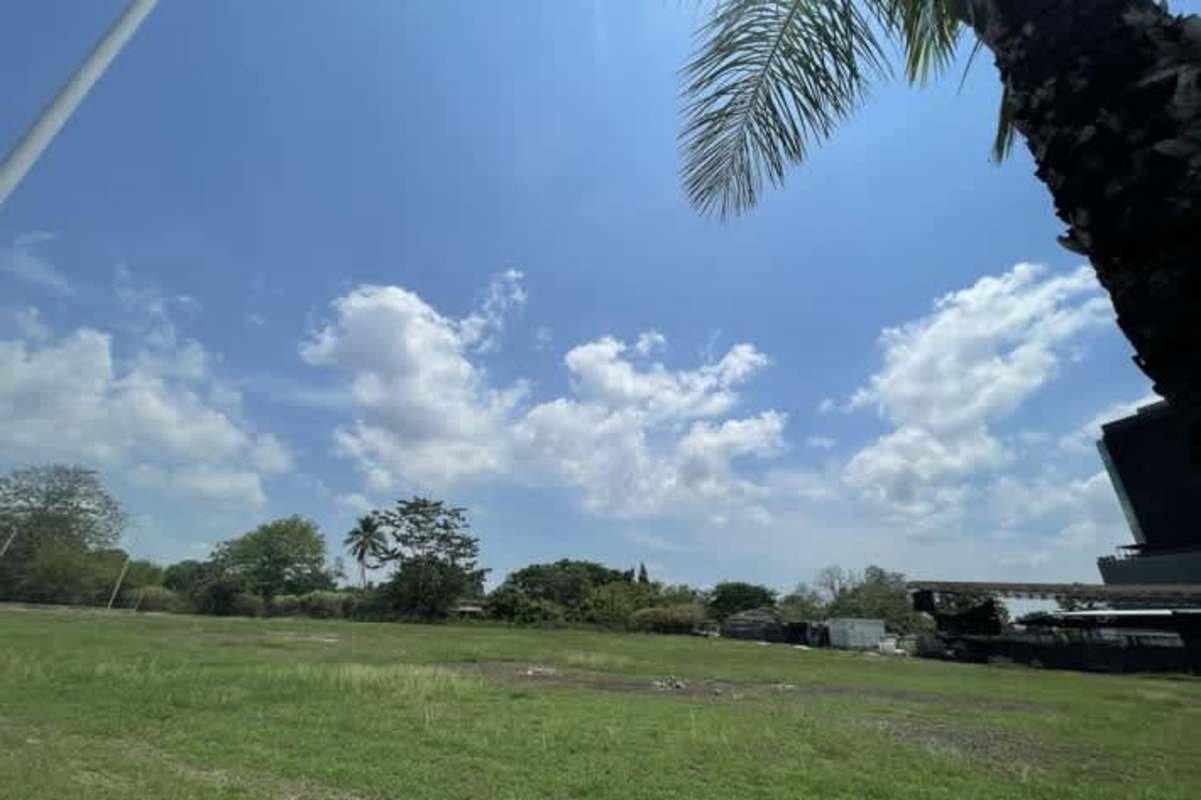 Large flat commercial parcel with palm trees and nearby infrastructure for sale Panama City
