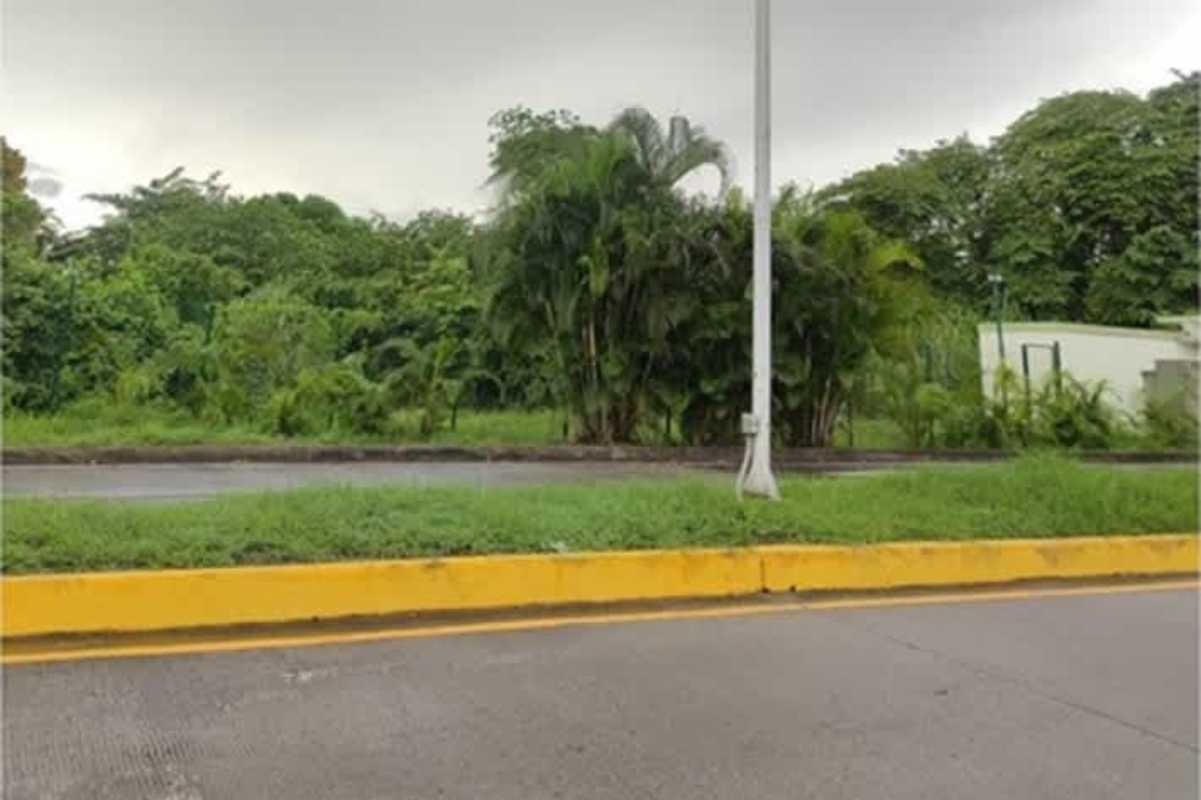 Roadside scene with yellow curb, lush greenery in Santa María Business District, Panama City