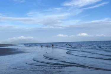 Bright bedroom with large window and sea views Punta Chame Panama