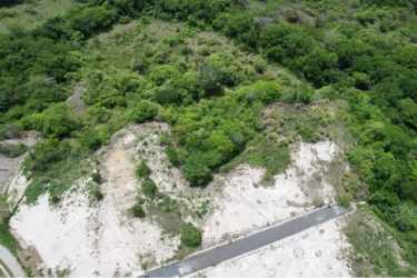 Green vegetation beachside land plot for sale Panama
