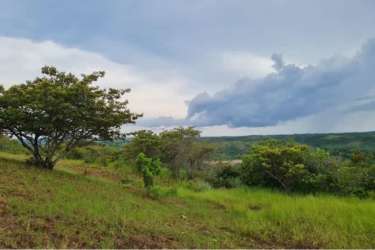 Outlined investment land parcel with road access in Coronado Panama
