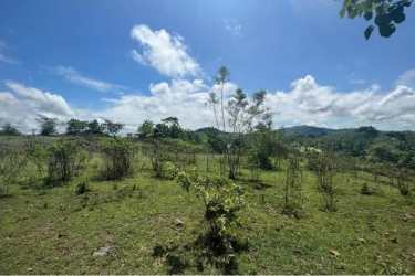 Open grassland and fields suitable for agricultural or residential use in Playa Coronado Panama