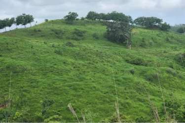 Green rolling hillside suitable for residential or commercial development in Playa Coronado Panama