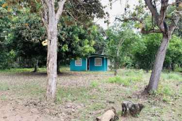 Country access road with green trees leading to large land parcel for sale Santa Rita Antón Panama