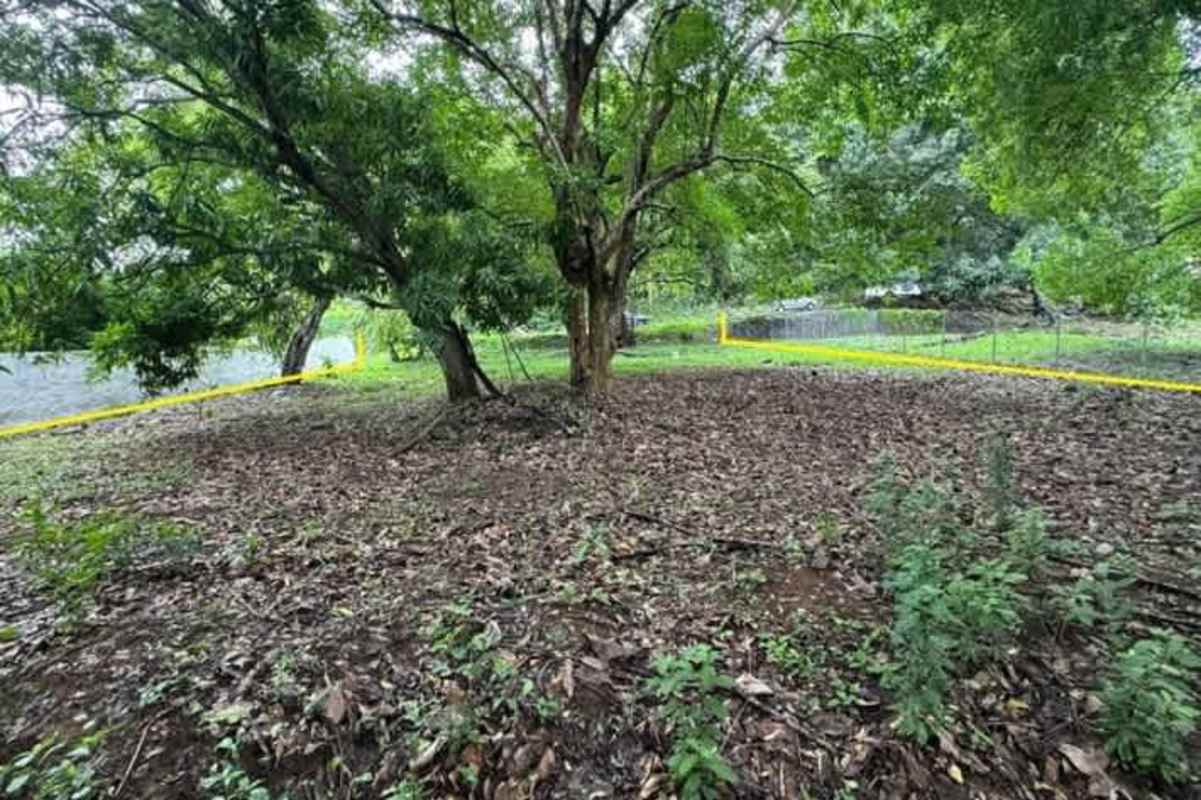 Fenced vacant land with mature trees on Republica de la India Altos del Golf Panama