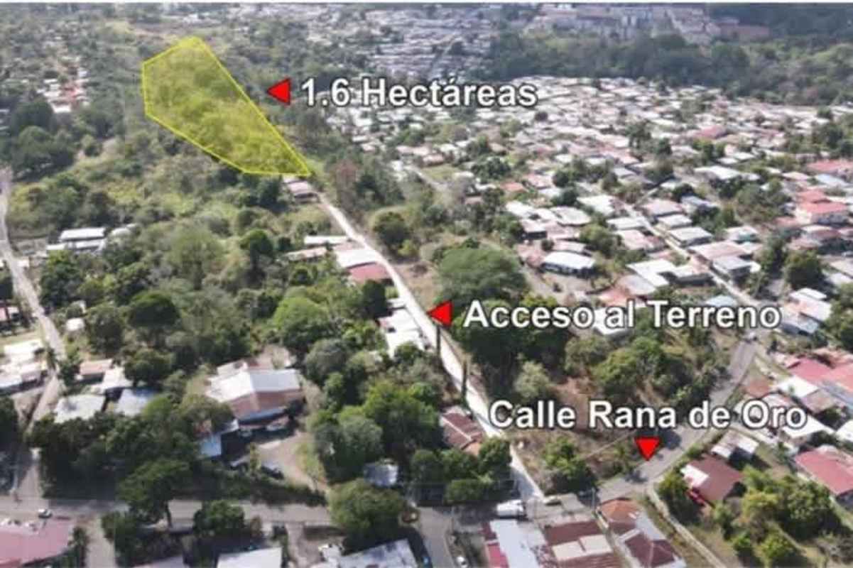 Close-up aerial showing boundaries and road access of Pedregal land lot in Panama