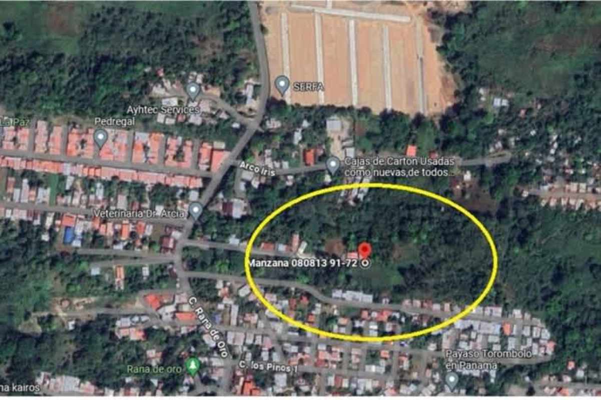 Aerial map of urban neighborhood Pedregal with highlighted 1.6 hectare land plot in Panama City