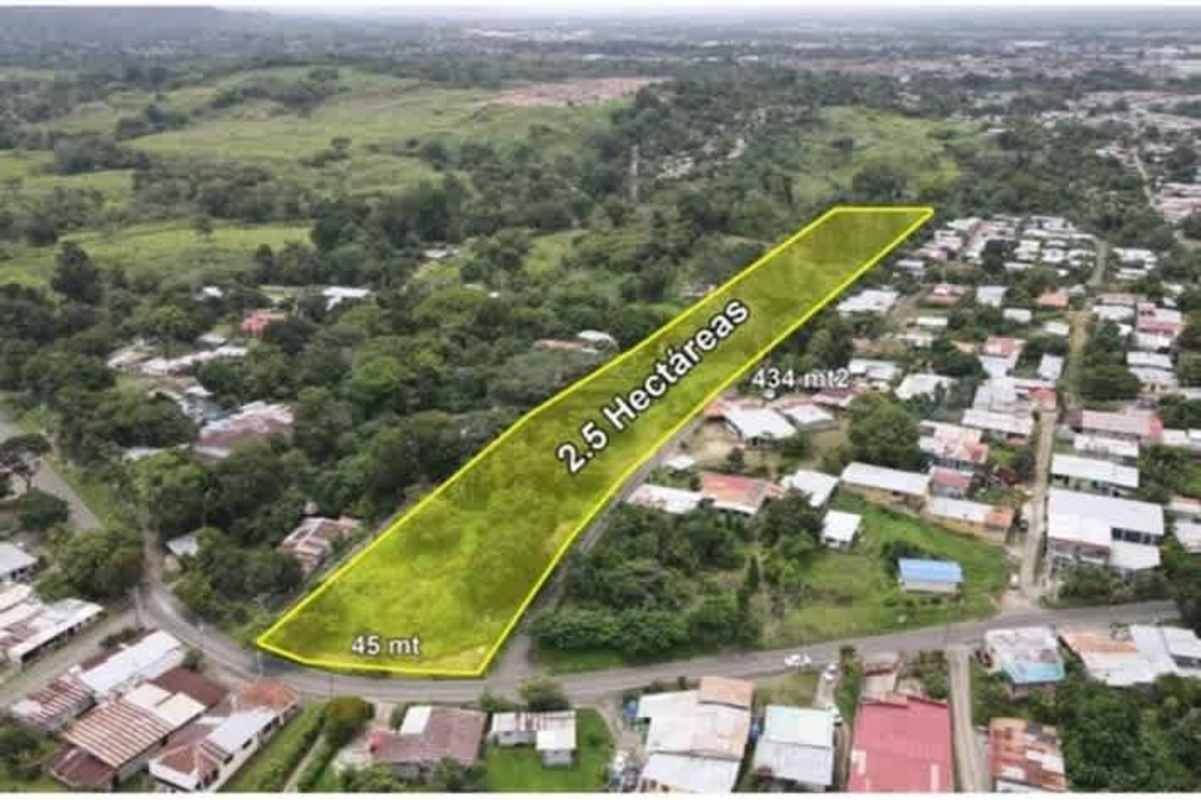 Aerial view showing 2.5 hectare land boundary surrounded by neighborhood in Pedregal Panama