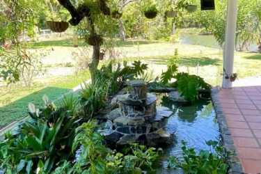 Covered patio overlooking pond garden lush greenery Torio Veraguas
