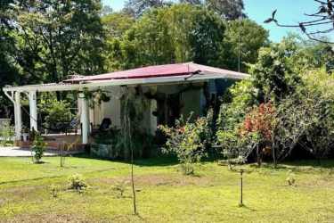 Garden with pond fountain lush tropical landscaping Veraguas Panama property
