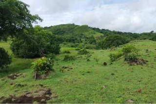 Farm / Agricultural Land for Sale in Corralillo - 0 bedrooms