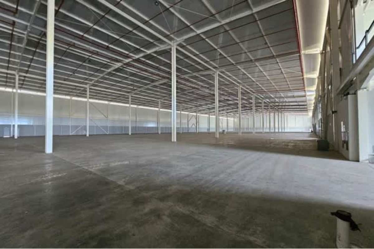 Large empty warehouse with polished floors and high ceilings in Panapark Free Zone Panama