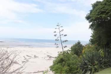 Luxury 9BR Private Beachfront Estate Anton Playas