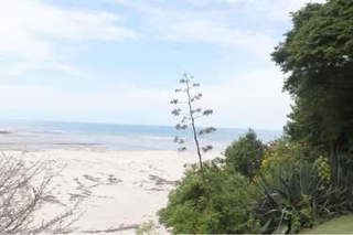 Beachfront Estate for Sale in Playas - 9 bedrooms