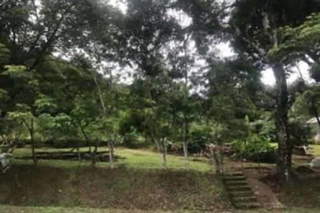 Land for Sale in Pedregal - 0 bedrooms