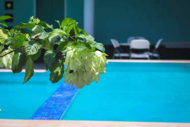 Spacious conference and event hall with folding chairs and large windows Pacific Coast Hotel Panama