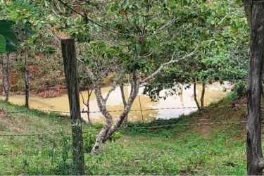 Rustic pond surrounded by greenery and fence in countryside farm Capira Panama