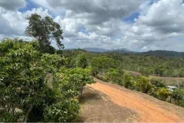 Hilly farmland with mixed green vegetation and cleared patches in countryside Panama