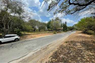 Road leading to 1,720 m² lot in La Ermita San Carlos, Panama, with trees and natural vegetation