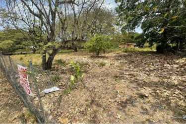 View of fenced edge of the vacant lot with mature trees and For Sale sign in La Ermita San Carlos