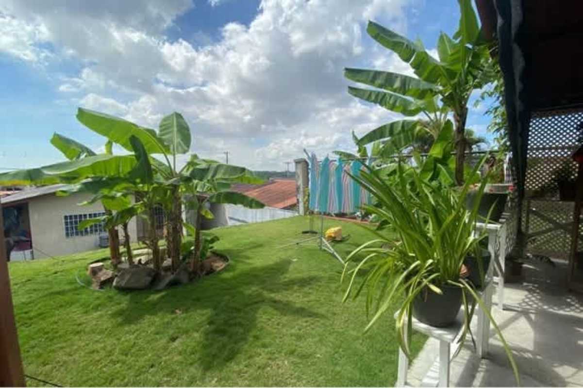 Private backyard with garden, banana trees and clothesline in Terrazas de Brisas del Golf Panama
