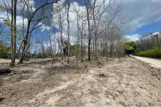 Land for Sale in Mata Palo - 0 bedrooms