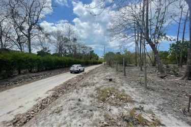 Unpaved rural road with car parking near dry woodland vacant land La Ermita area