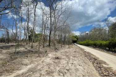 Rural cleared lot with dirt road and sparse woods under partly cloudy sky La Ermita Panama