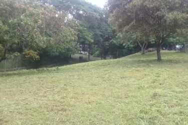 Green grassy slope with trees in Rio Mar beach community San Carlos Panama