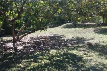 Shaded residential lot with trees and lawn in Rio Mar San Carlos Panama