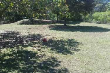 Large open lot with mature trees near beach Rio Mar San Carlos Panama