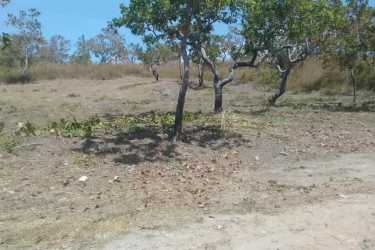 Open plot of land with trees gentle slope near Rio Mar beach surf community Panama